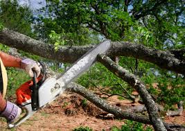 Lawn Irrigation Installation and Maintenance in Apache, OK